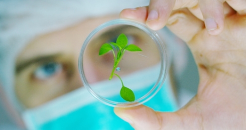 Отдел биотехнологий успешно завершил НИР по разработке органического удобрения «Биогумус uTerra»